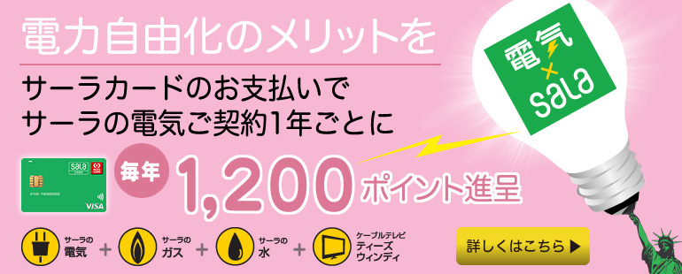 サーラの電気