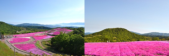 茶臼山高原のリフト優待券（往復）プレゼント