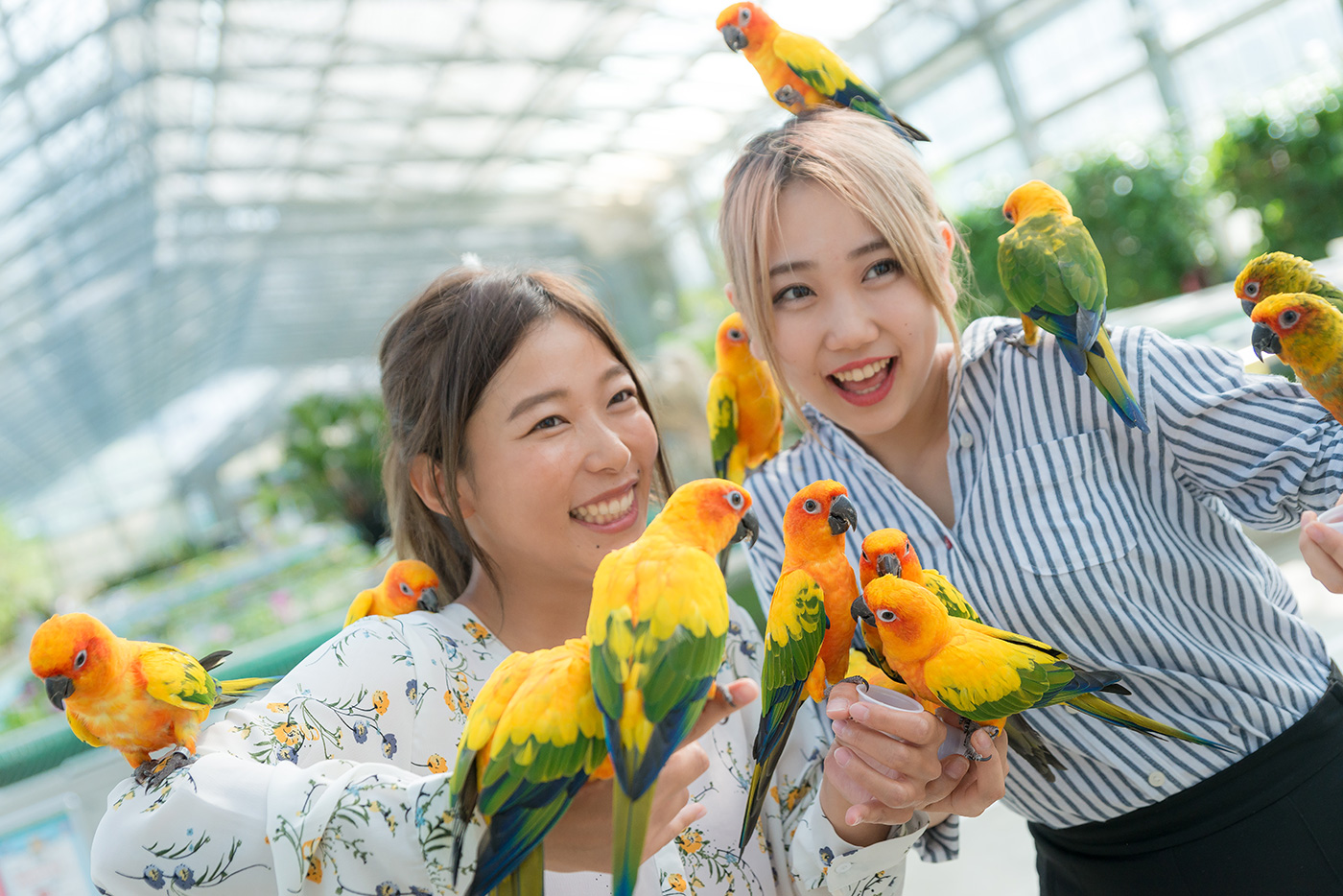 『掛川花鳥園』入園チケットプレゼント！