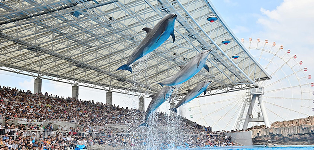 『名古屋港水族館』入館チケット