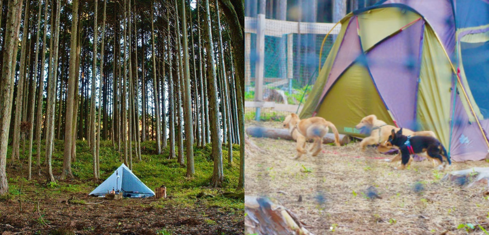 TSUNAGU camp（つなぐキャンプ）1日利用招待チケットプレゼント
