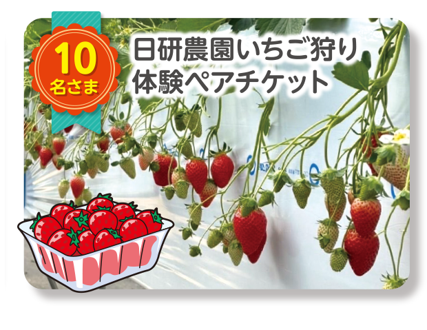 日研農園いちご狩り／体験ペアチケット　10名さま