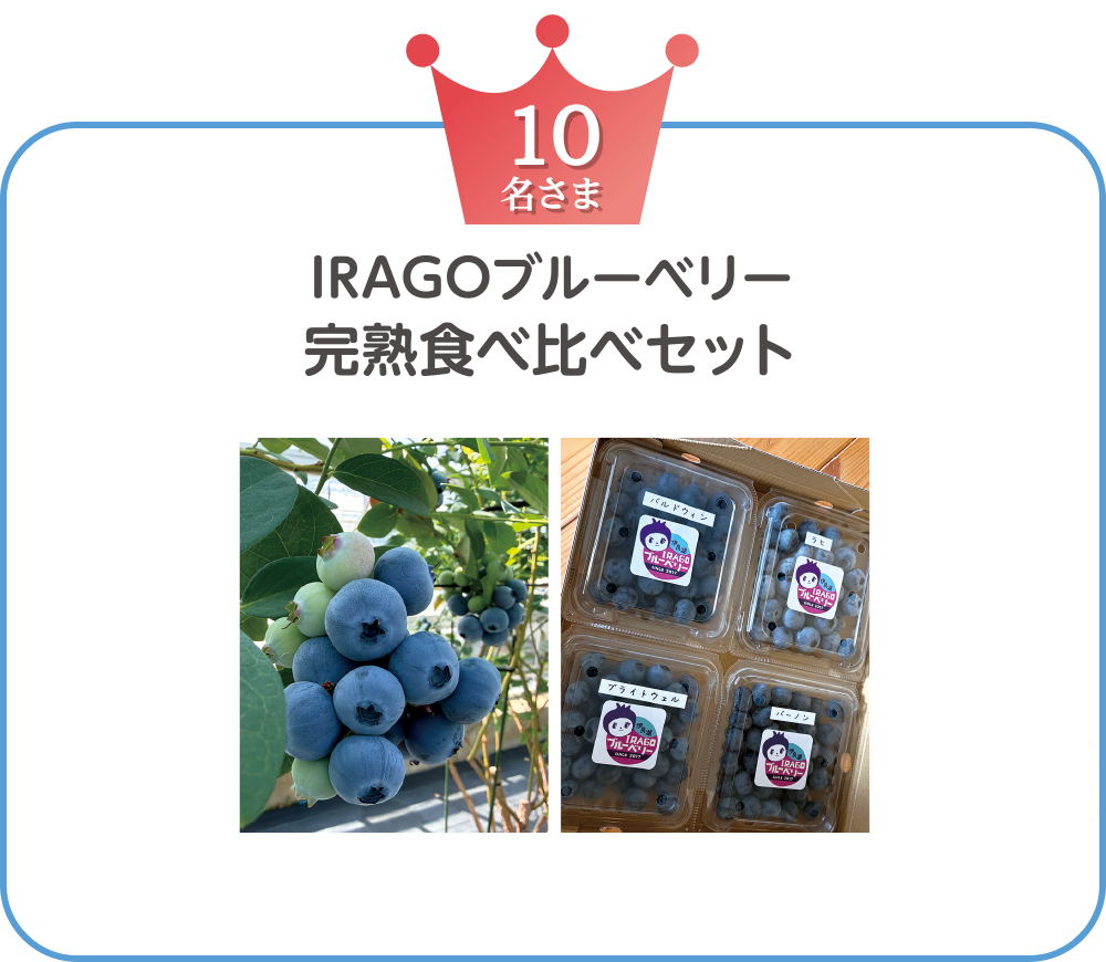 IRAGO ブルーベリー／完熟食べ比べセット　10名さま