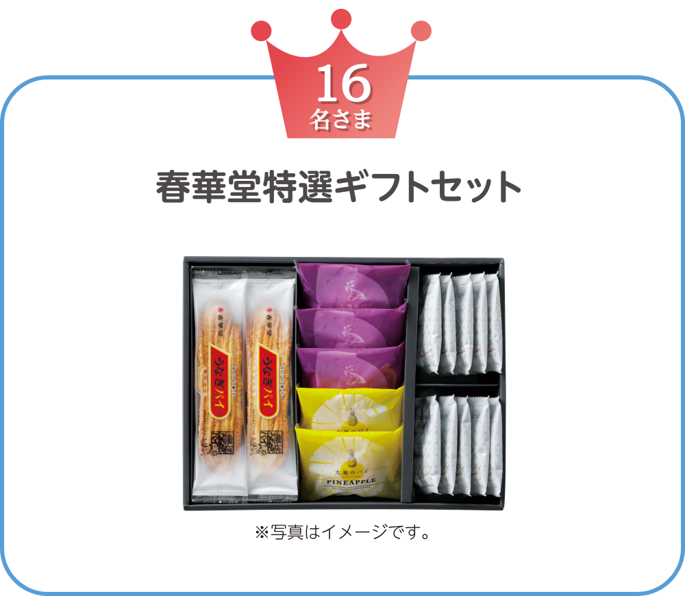 春華堂／特選ギフトセット　16名さま